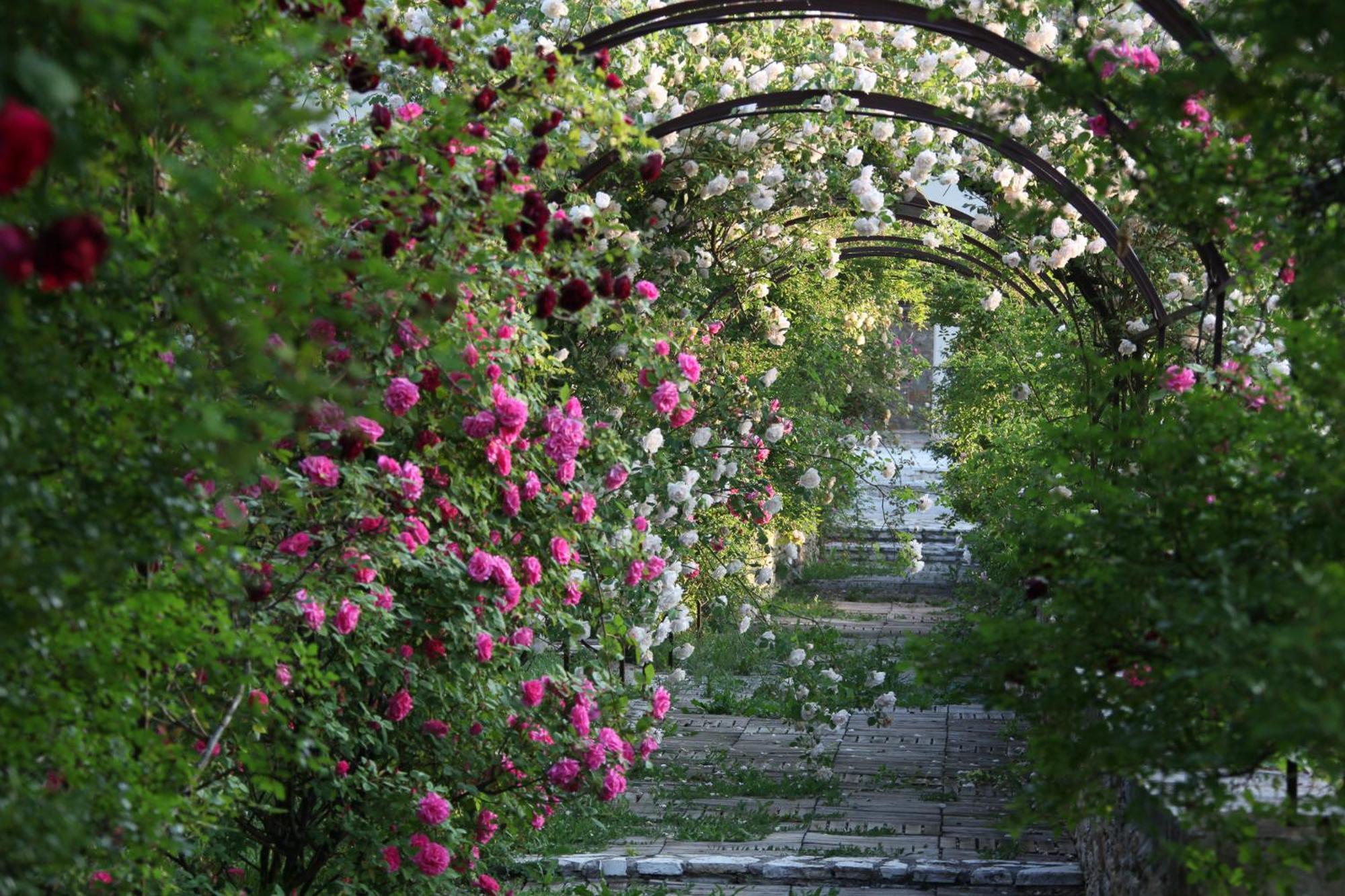 Chateau De Potelières 客房 照片